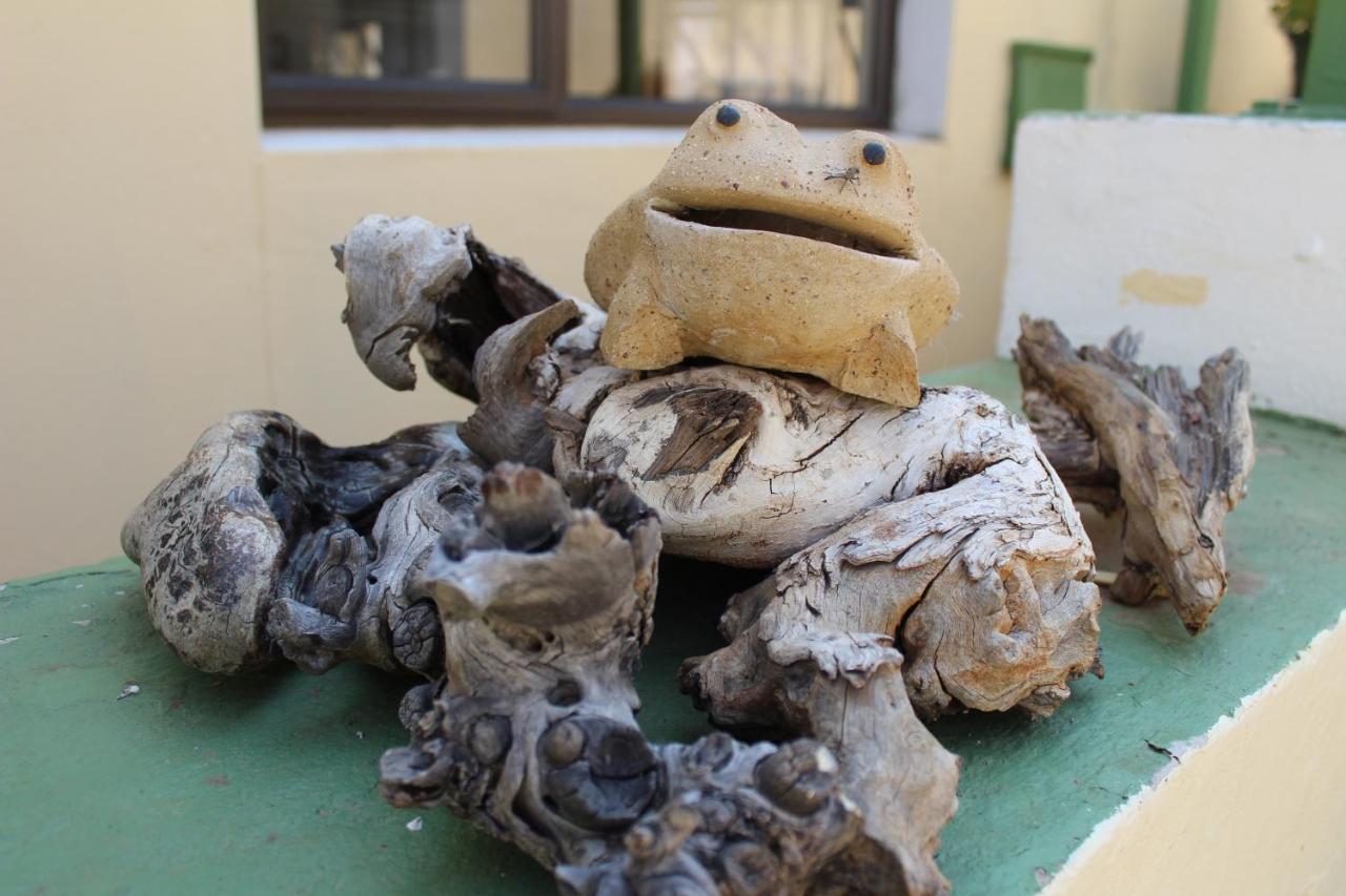 Onganga Hotel Pension Windhoek Kültér fotó