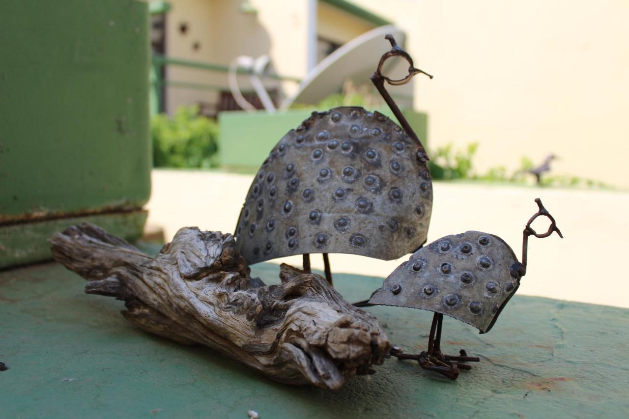 Onganga Hotel Pension Windhoek Kültér fotó